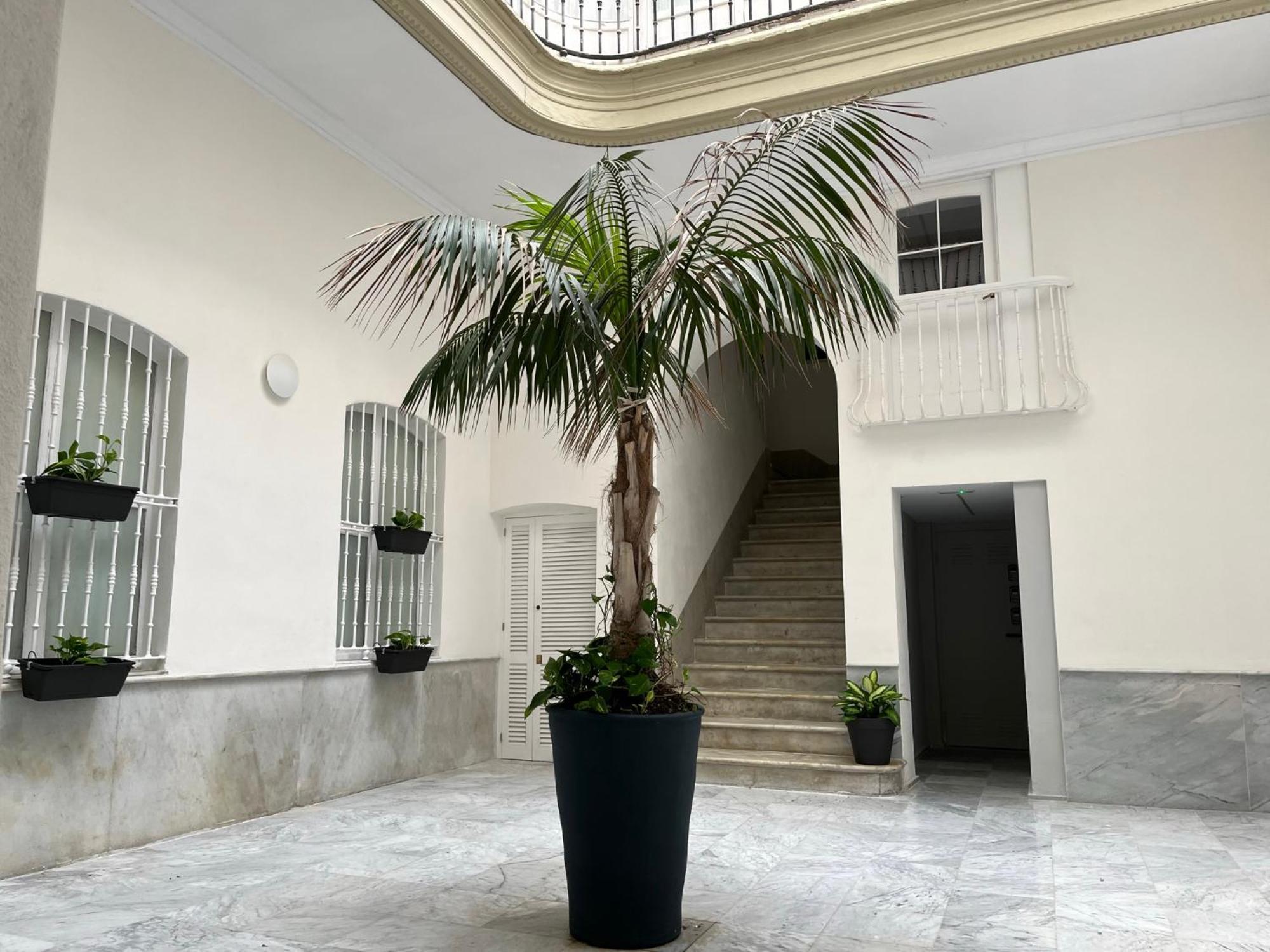Estudio Amor Brujo By Cadiz4Rentals מראה חיצוני תמונה